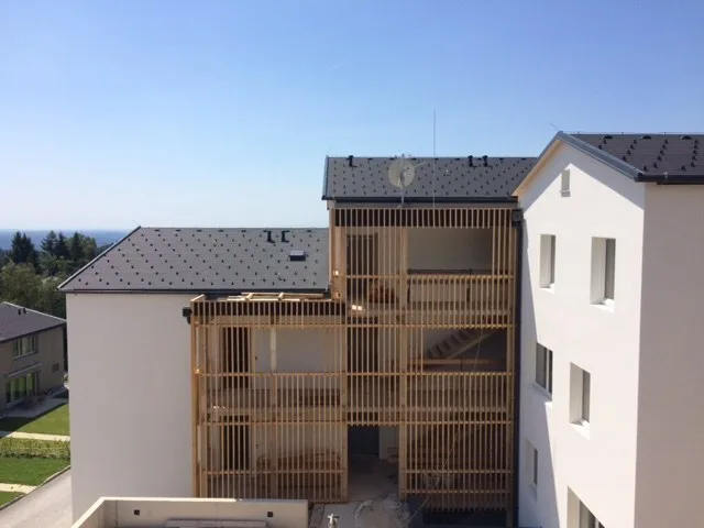 Wohnhäuser mit Steildach und Holzelementen an der Fassade